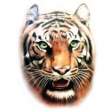 Tatoo temporaire tête de tigre réaliste couleur
